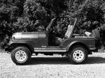 Jeep CJ-5 Renegade 1979 года